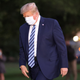 Image for article titled The 2020 Wypipo Awards